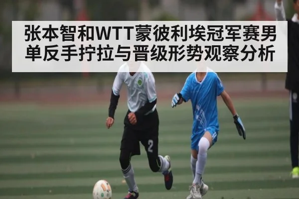张本智和WTT蒙彼利埃冠军赛男单反手拧拉与晋级形势观察分析
