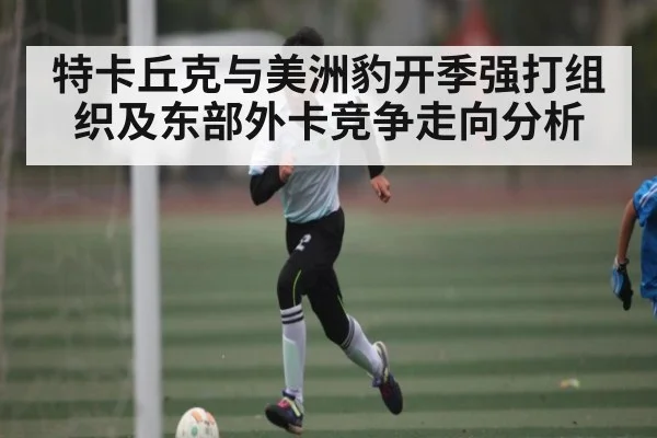 特卡丘克与美洲豹开季强打组织及东部外卡竞争走向分析